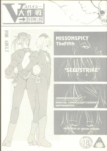MISSONSPICY The Fifth Side-B cover