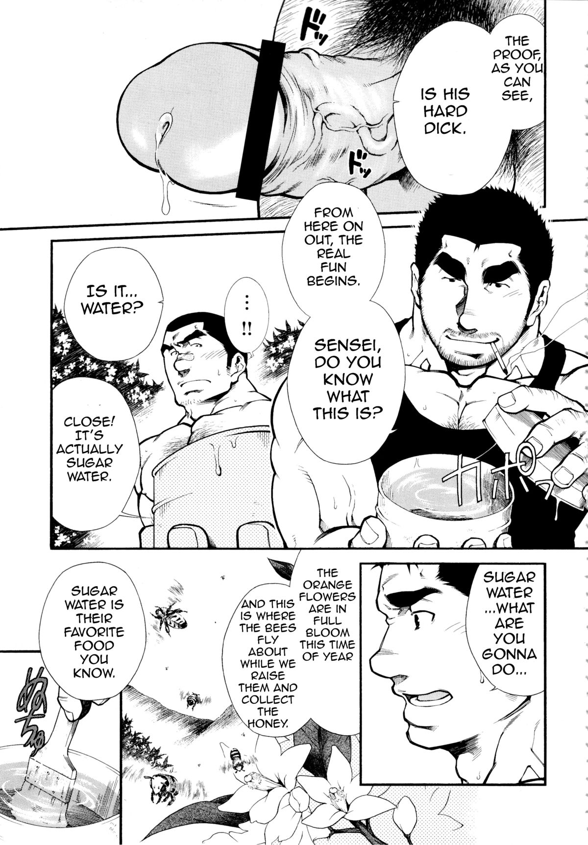 Male Honey Bee page 7 full