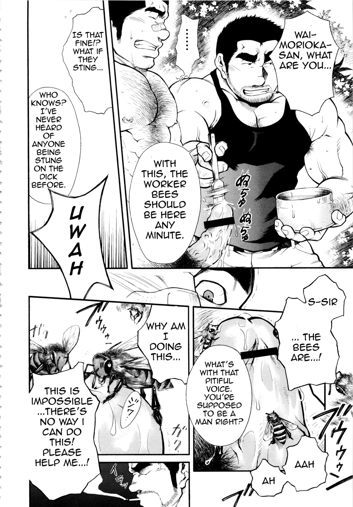 Male Honey Bee page 8 full