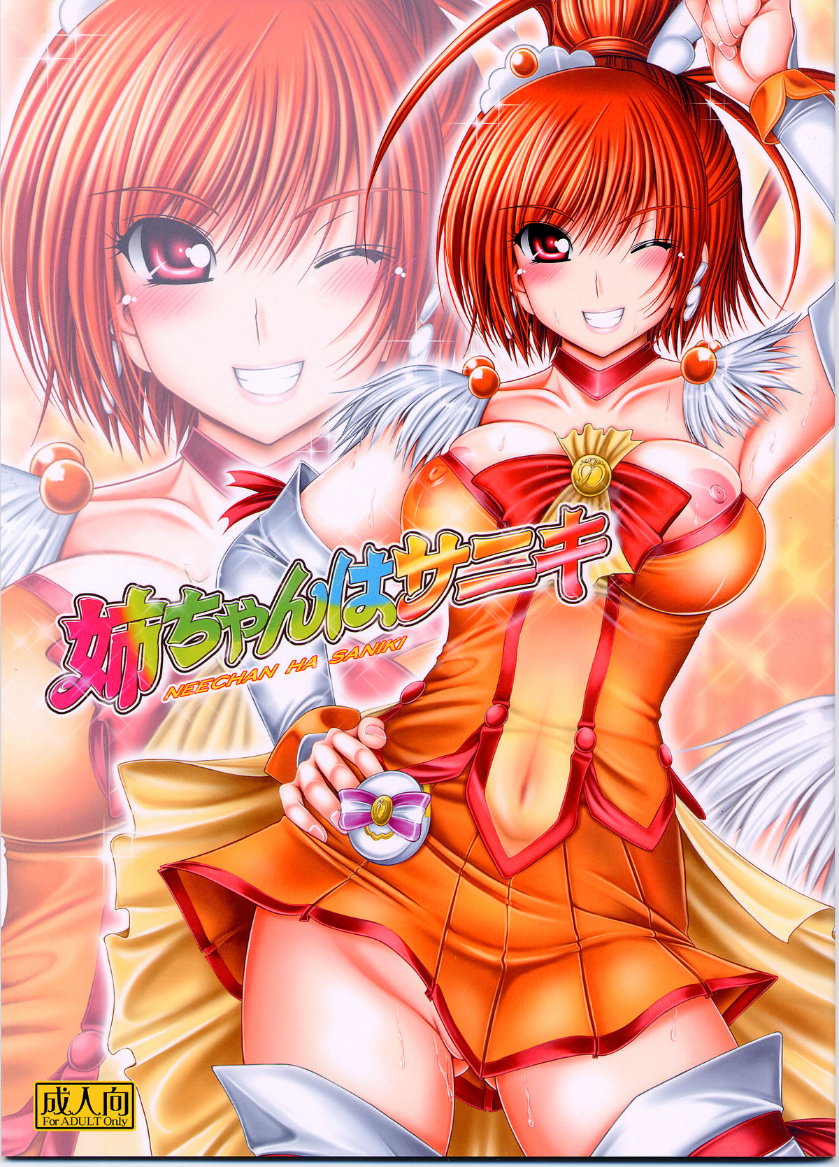 Nee-chan wa Saniki page 1 full