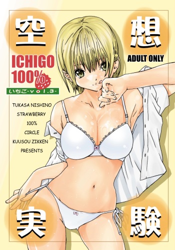 Kuusou Zikken Ichigo Vol.3 cover