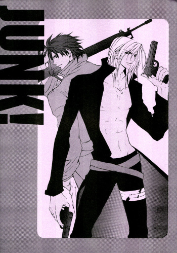 Junk! cover