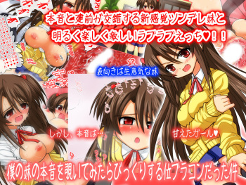 Boku no Imouto no Honne o Nozoite Mitara Bikkuri suru Kurai BroCon Datta Ken cover