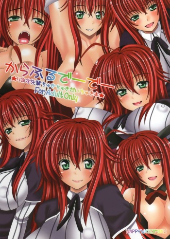 Colorful DxD cover