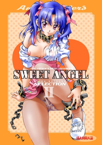SWEET ANGEL SELECTION 2 cover