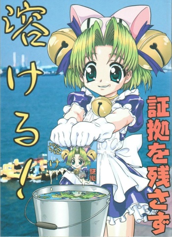Shouko wo Nokosazu Tokeru! cover