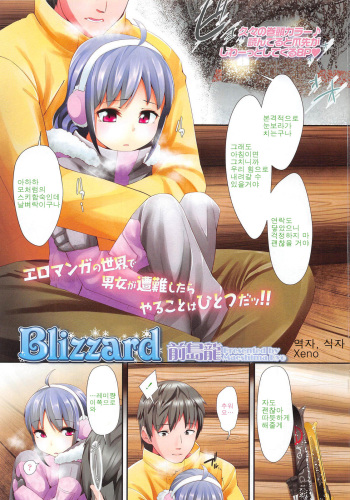 Blizzard cover