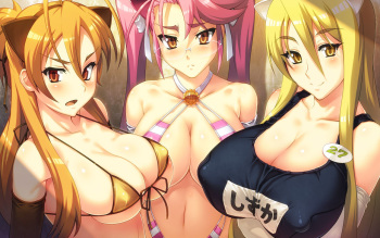 Highschool of the Dead cover