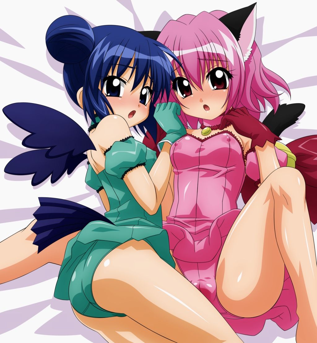 Tokyo Mew Mew Gallery page 1 full