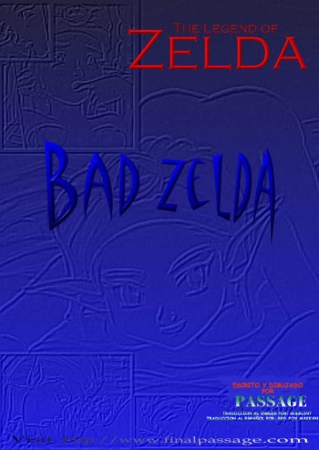 Bad Zelda cover