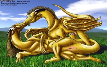 Dragon Gallery cover