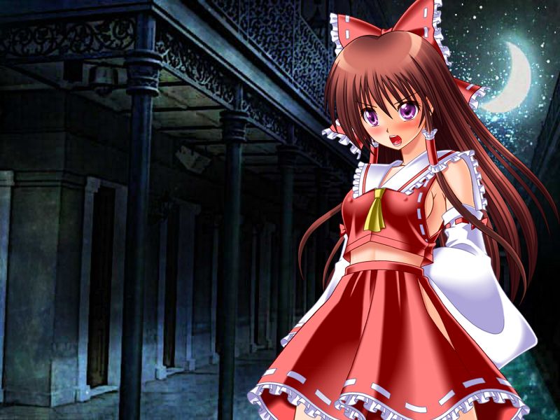 Touhou Sennou Shoujo ~Reimu Udonge no Kisekae Choukyou AVG~ page 5 full