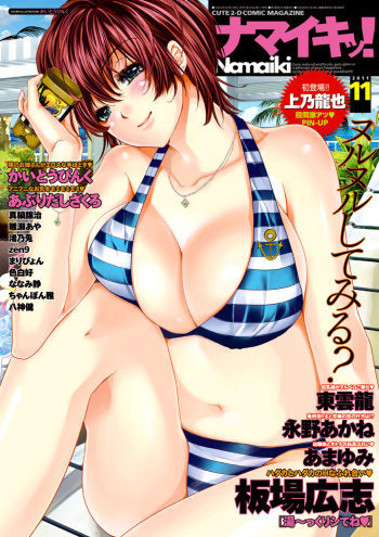 Namaiki! 2011-11 cover