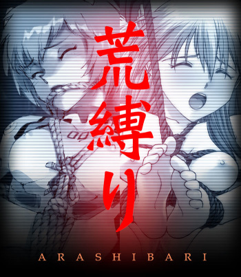evangelion bondage CG art book - arashibari cover