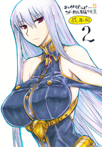 Copy bon Soushuuhen Fukanzen 2 cover