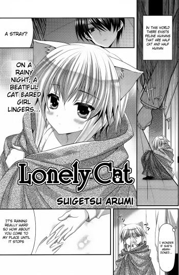 Lonely Cat cover