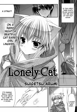 Lonely Cat