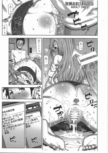 Bessatsu Omake Manga 3 cover