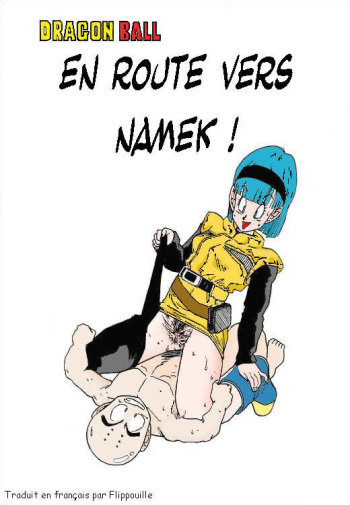 Aim at Planet Namek cover