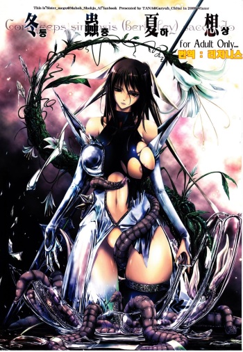 Touchuu Kasou cover