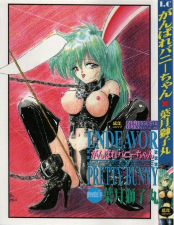 Ganbare Bunny-chan cover
