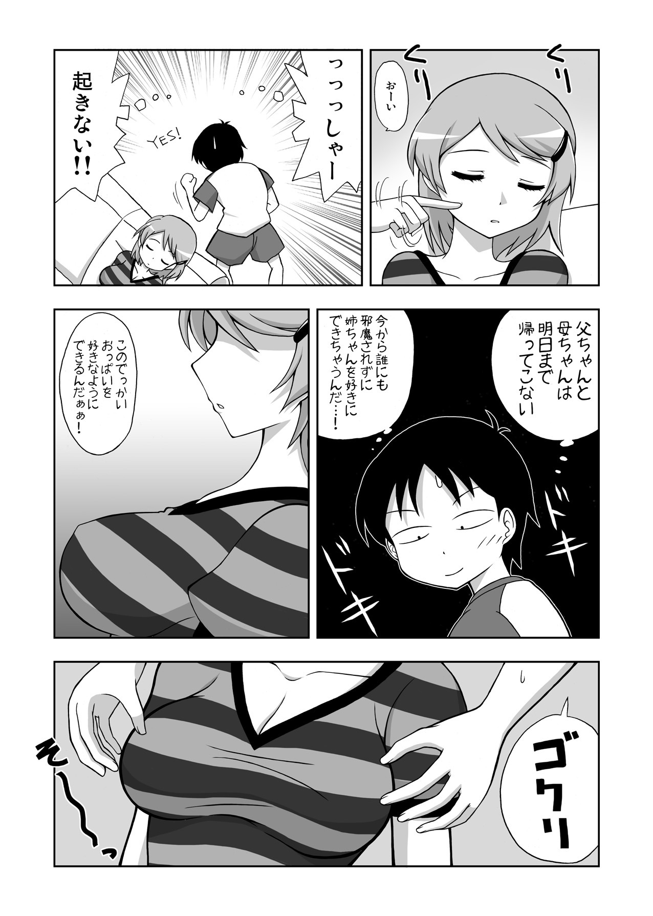 姉寝姦～あねかん～ page 5 full