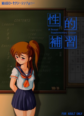 Seiteki Hoshuu - A Sexual Supplementary Lesson cover