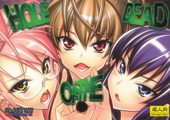 HOLE OF THE DEAD cover