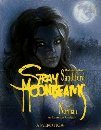 Stray Moonbeams cover