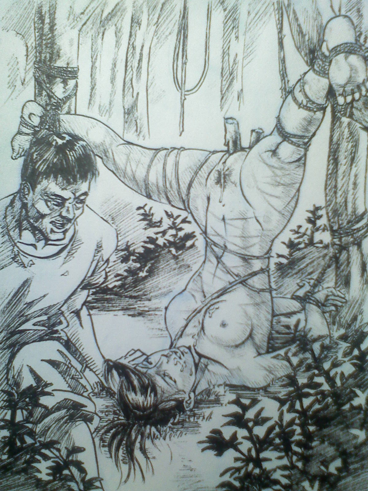 Chinese Guro painter-Din Peili page 2 full