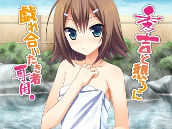 Hideyoshi to Nengoro ni Zareaitaki Mono Senyou. cover