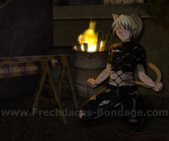 Yice BDSM collection cover