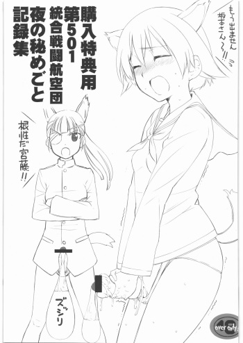 Kounyuu Tokutenyou Dai 501 Tougou Sentou Koukuudan Yoru no Himegoto Kirokushuu cover