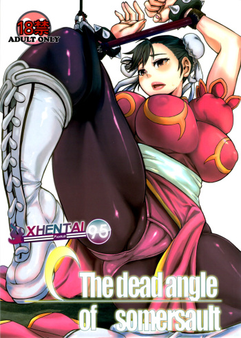 The Dead Angle Of Somersault cover