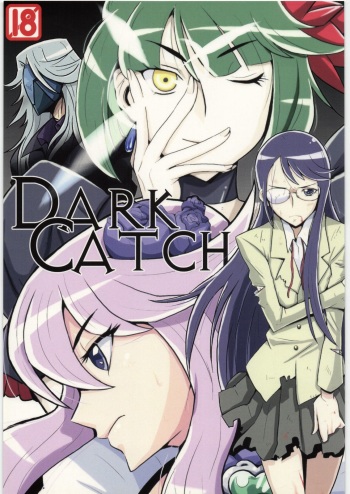 DARK CATCH cover