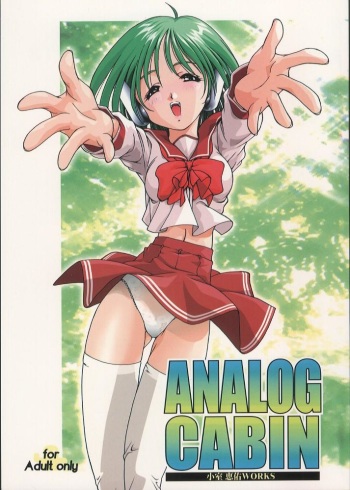 Analog Cabin cover