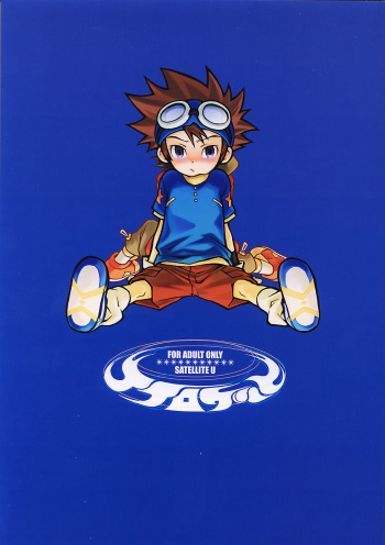 SATELLITE U cover