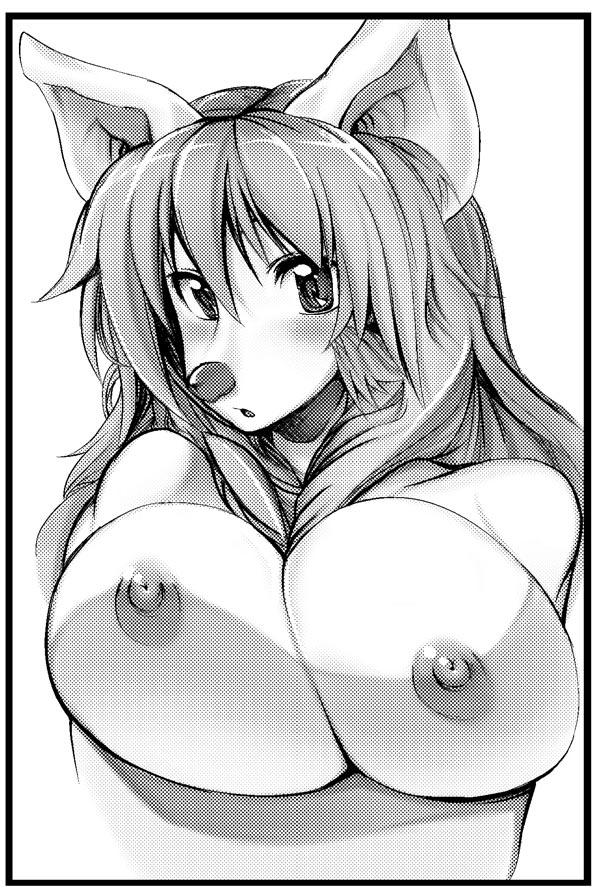 furry 9 page 1 full
