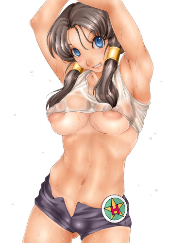 Videl cover
