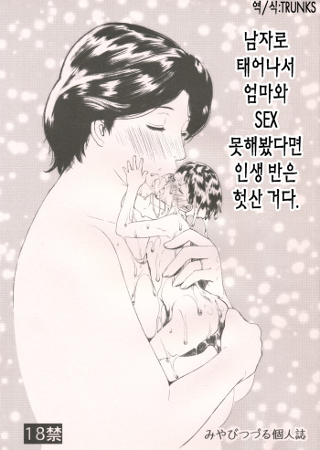 Otoko ni Umarete Hahaoya to SEX shinai nante Jinsei Hanbun Sonshiteru. cover