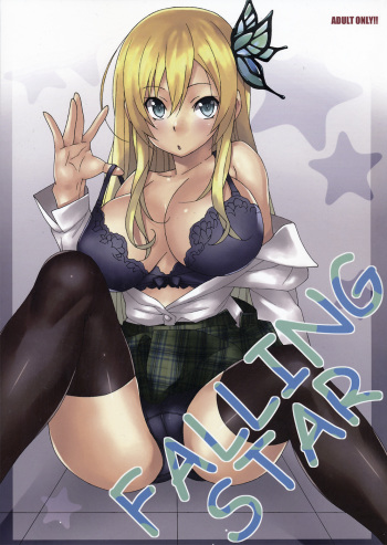 FALLING STAR cover