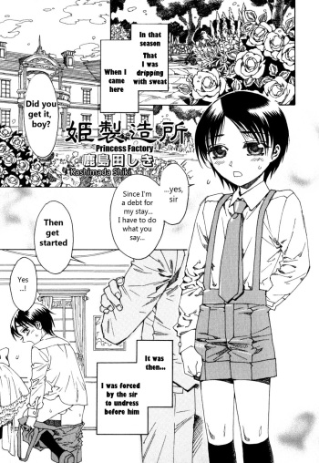 Princess Factory cover