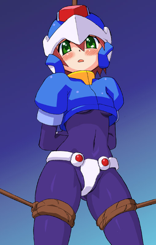 megaman series and various page 4 full