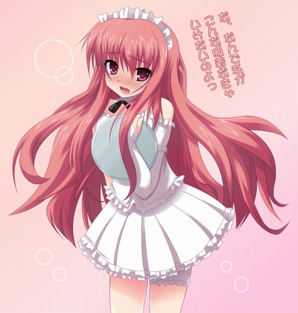 Zero no Tsukaima Gallery page 2 full