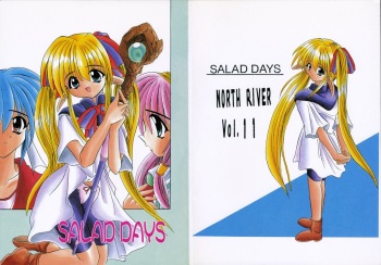 SALAD DAYS cover