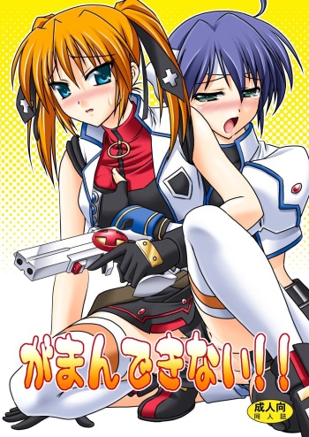 Gaman-Dekinai!! cover