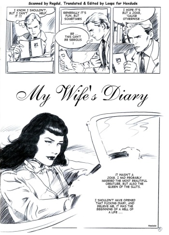My Wife's Diary cover