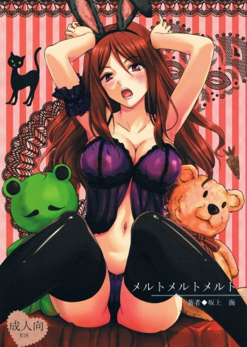 Melt Melt Melt cover