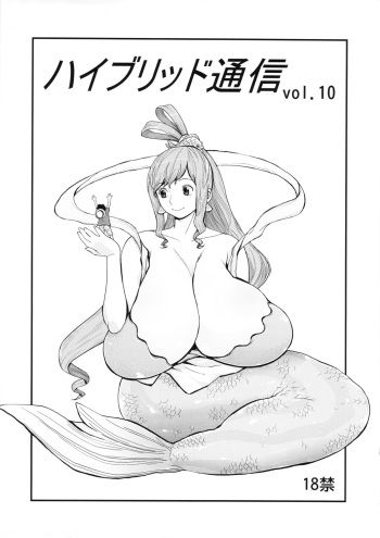 Hybrid Tsuushin Vol.10 cover