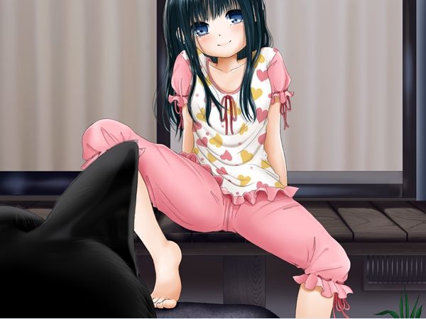 Rorokemo Nikki ~Inu H Daisuki ○gakuseiga rosyutsuni mesameta natsu page 9 full
